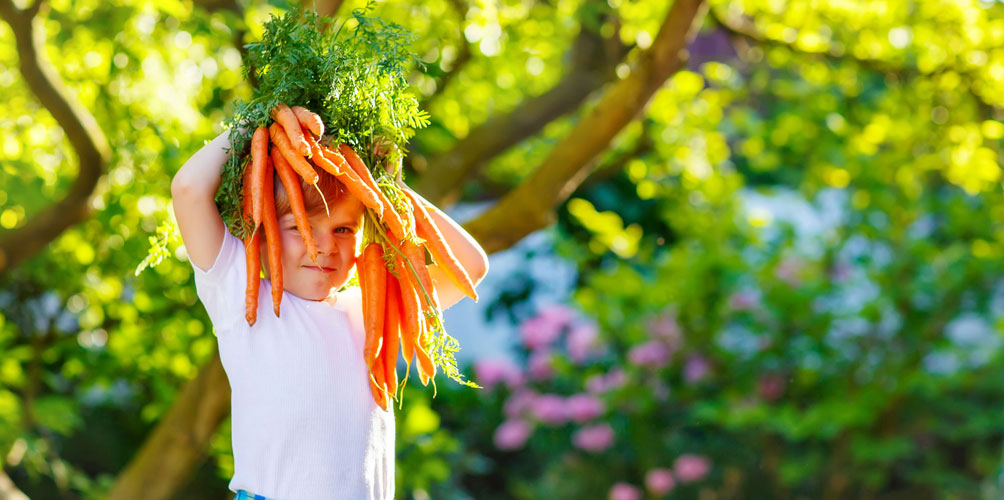 Gesund bauen und wohnen